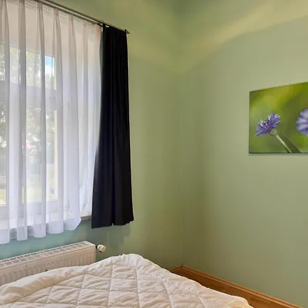 Otto Der Reiche In Apartment Ballenstedt